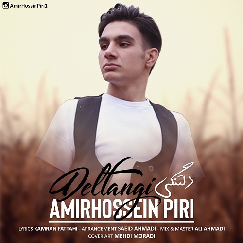 امیرحسین پیری دلتنگی